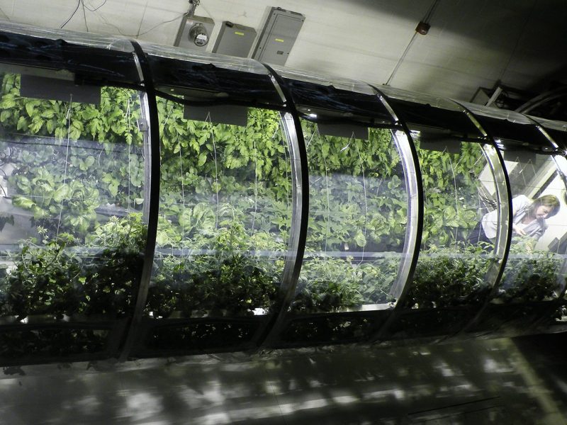 At the University of Arizona's Controlled Environment Agriculture Center, an 18 foot long, 7 foot, 3 inch diameter lunar greenhouse chamber is equipped as a prototype bioregenerative life support system. (University of Arizona)