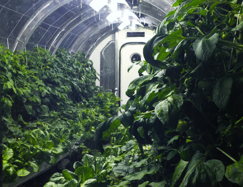 Through the design and construction of an innovative hydroponic plant growth chamber, the Prototype Lunar Greenhouse is designed to sustain a continuous vegetarian diet for astronauts on distant locations such as the moon or Mars. It employs plants and crop production designed to provide not only food, but air revitalization, water recycling and waste recycling. (University of Arizona)