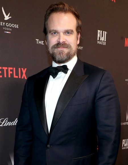 Actor David Harbour