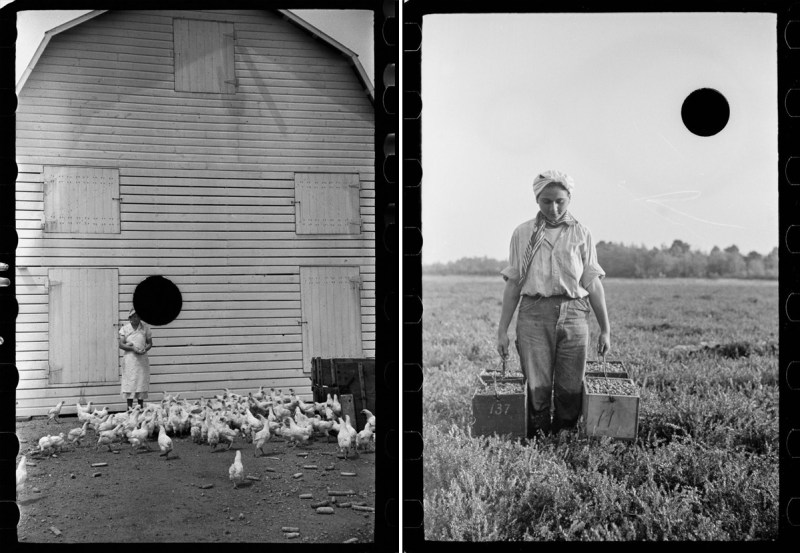 Great Depression Farm Security Administration Photos Library of Congress