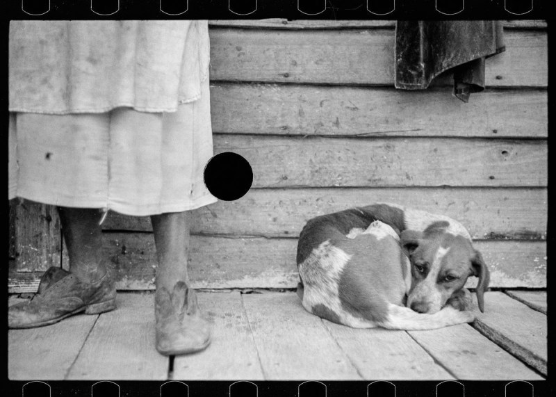 Great Depression Farm Security Administration Photos Library of Congress