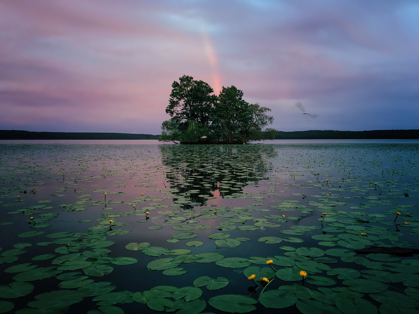 iPhone Photography Awards