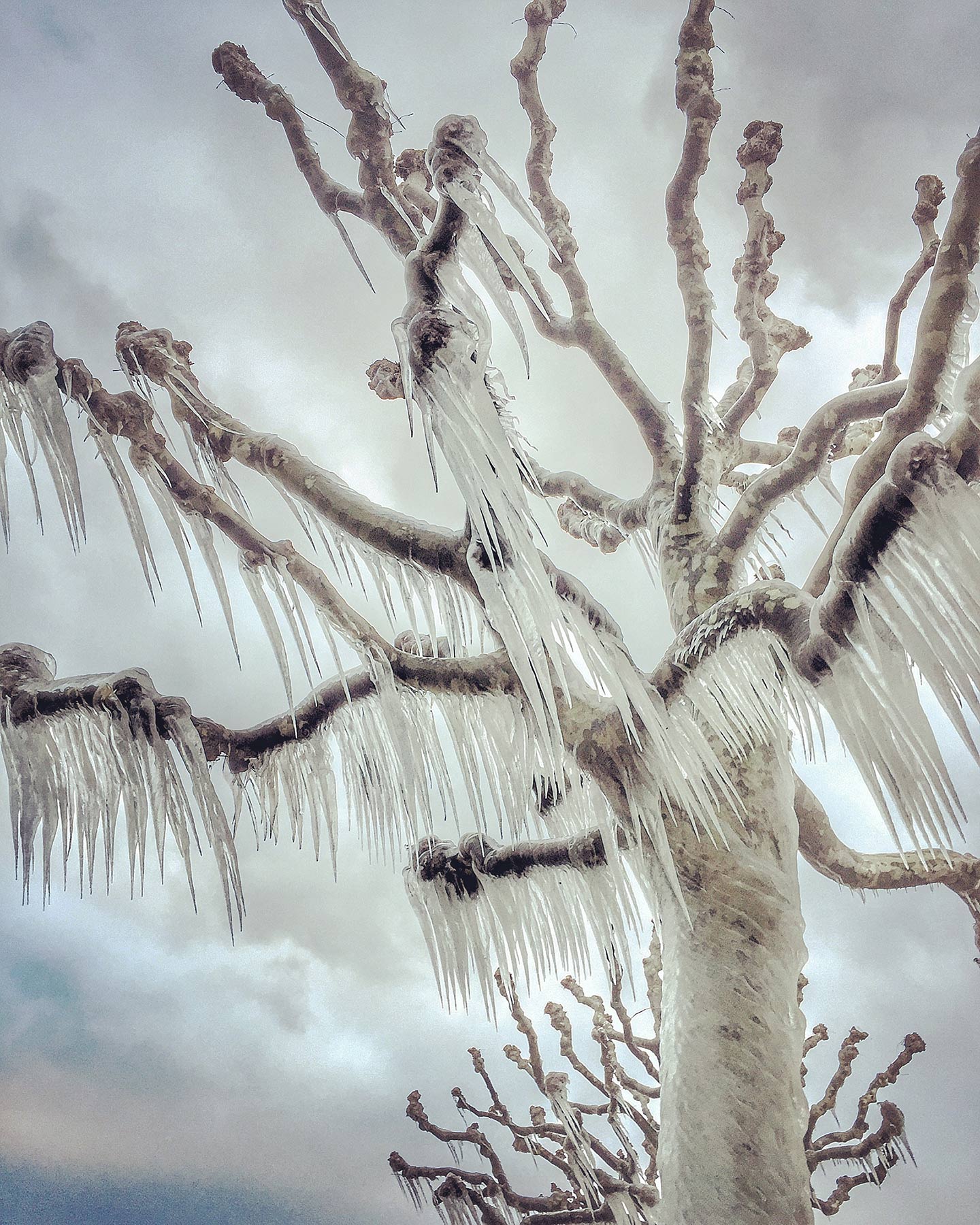 iPhone Photography Awards