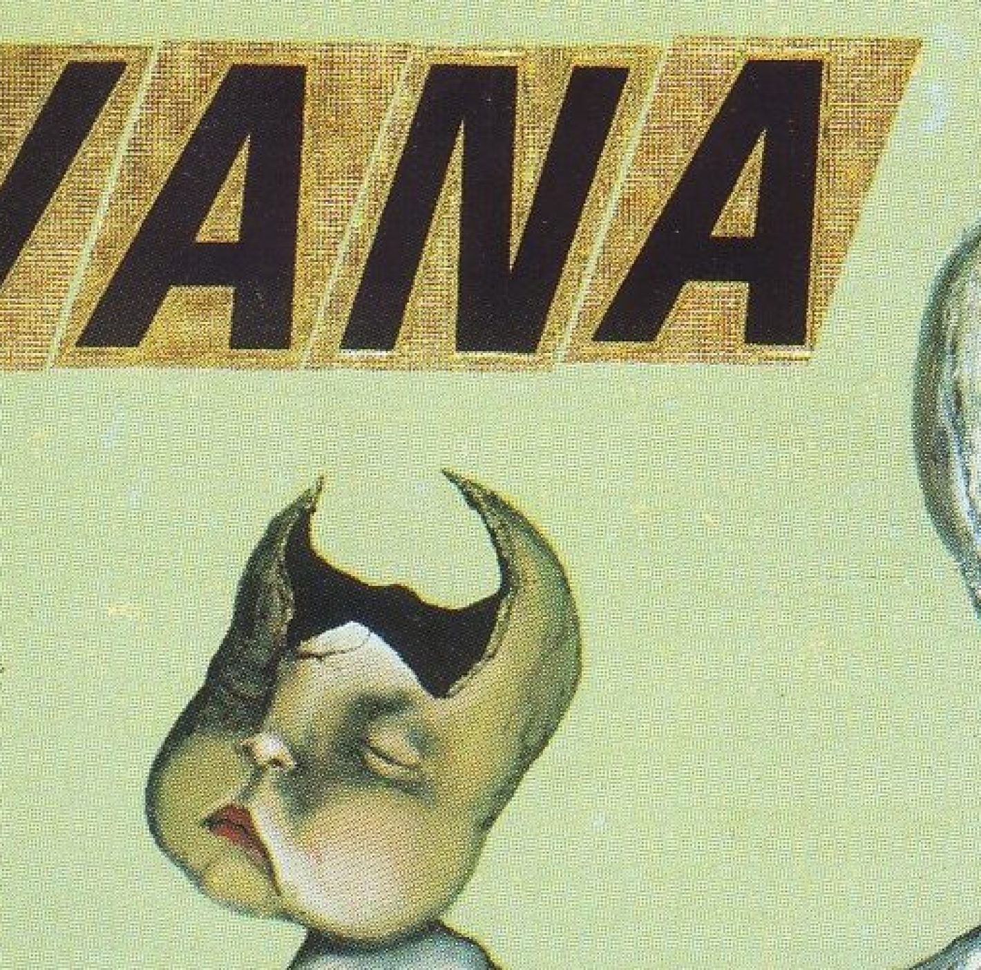 Kurt Cobain Art for 'Incesticide' Cover Set for Seattle Art Exhibit