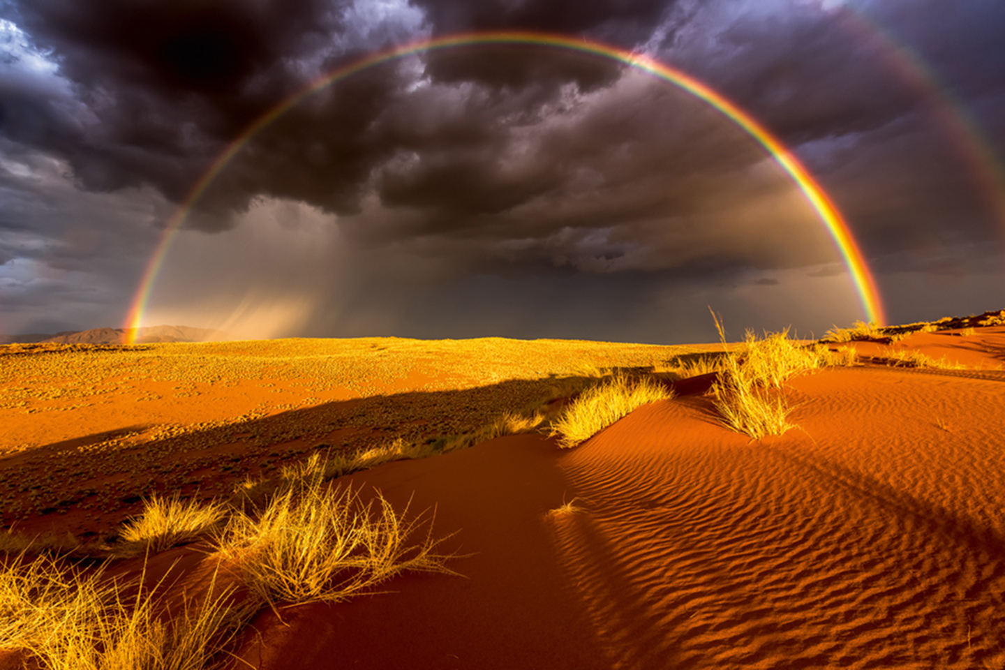 Chasing Light by Stefan Forster,