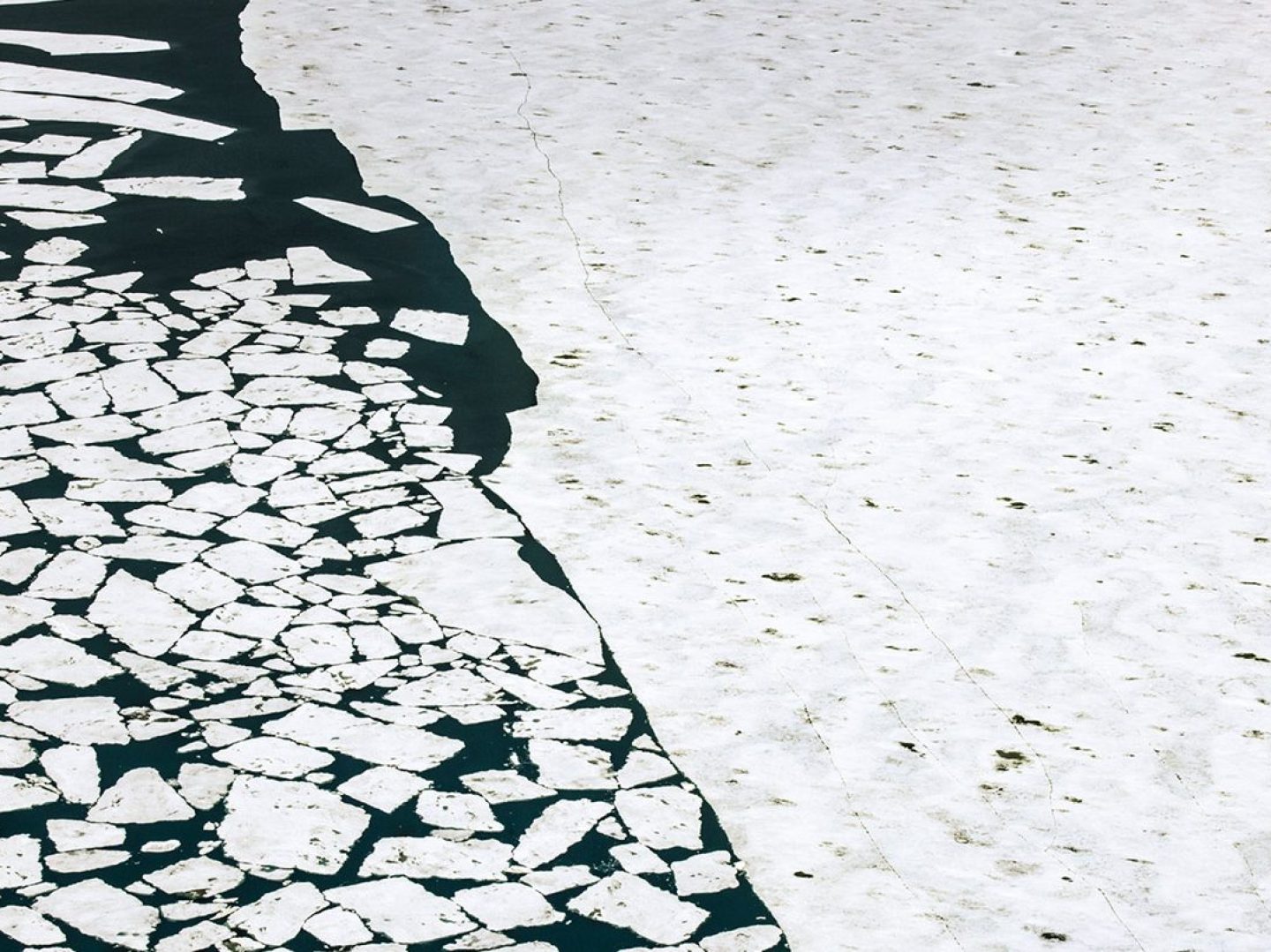 The Arctic Melt Diane Tuft