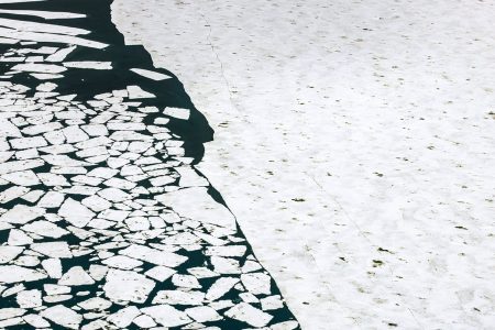The Arctic Melt Diane Tuft