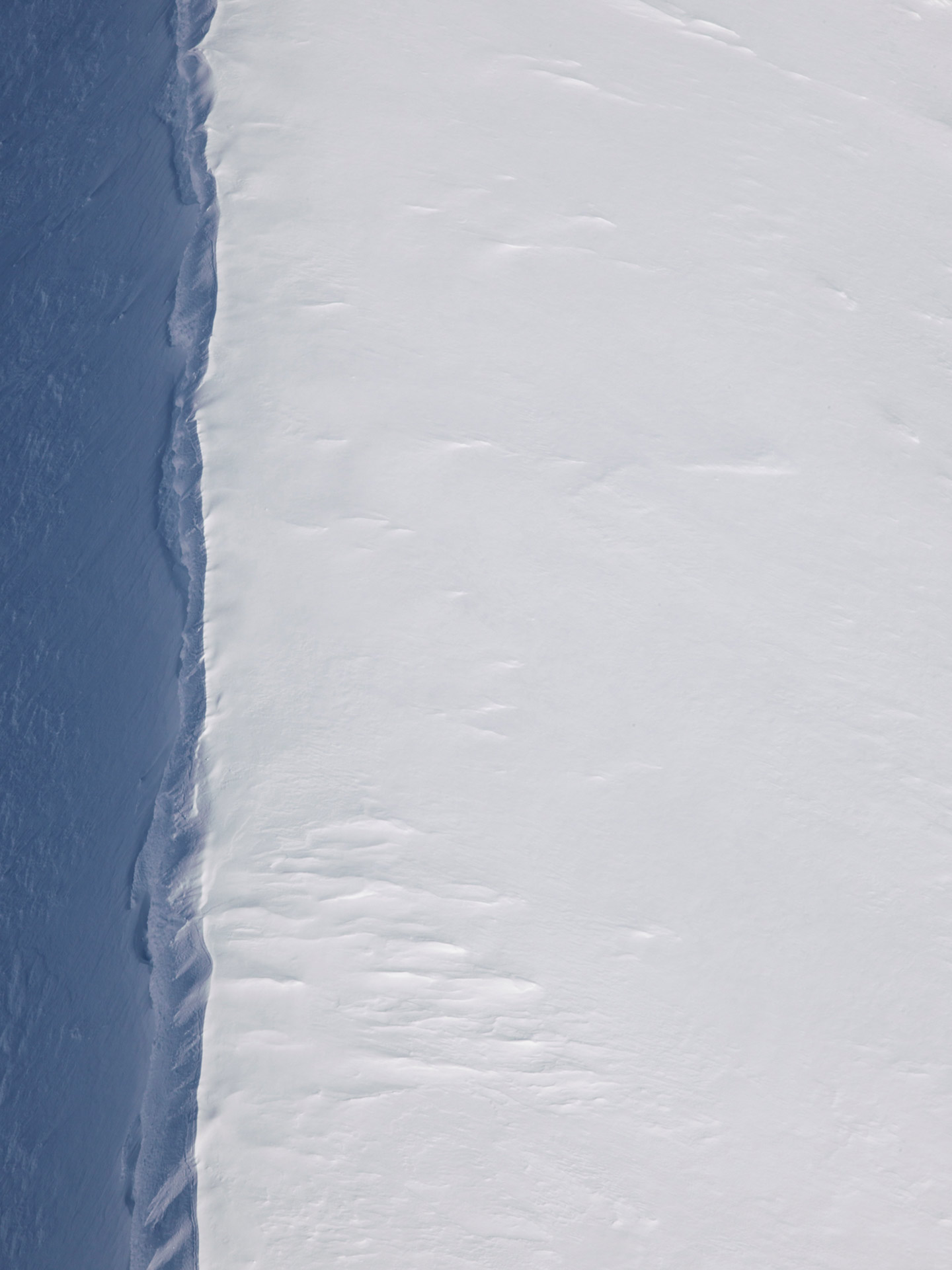 The Arctic Melt Diane Tuft