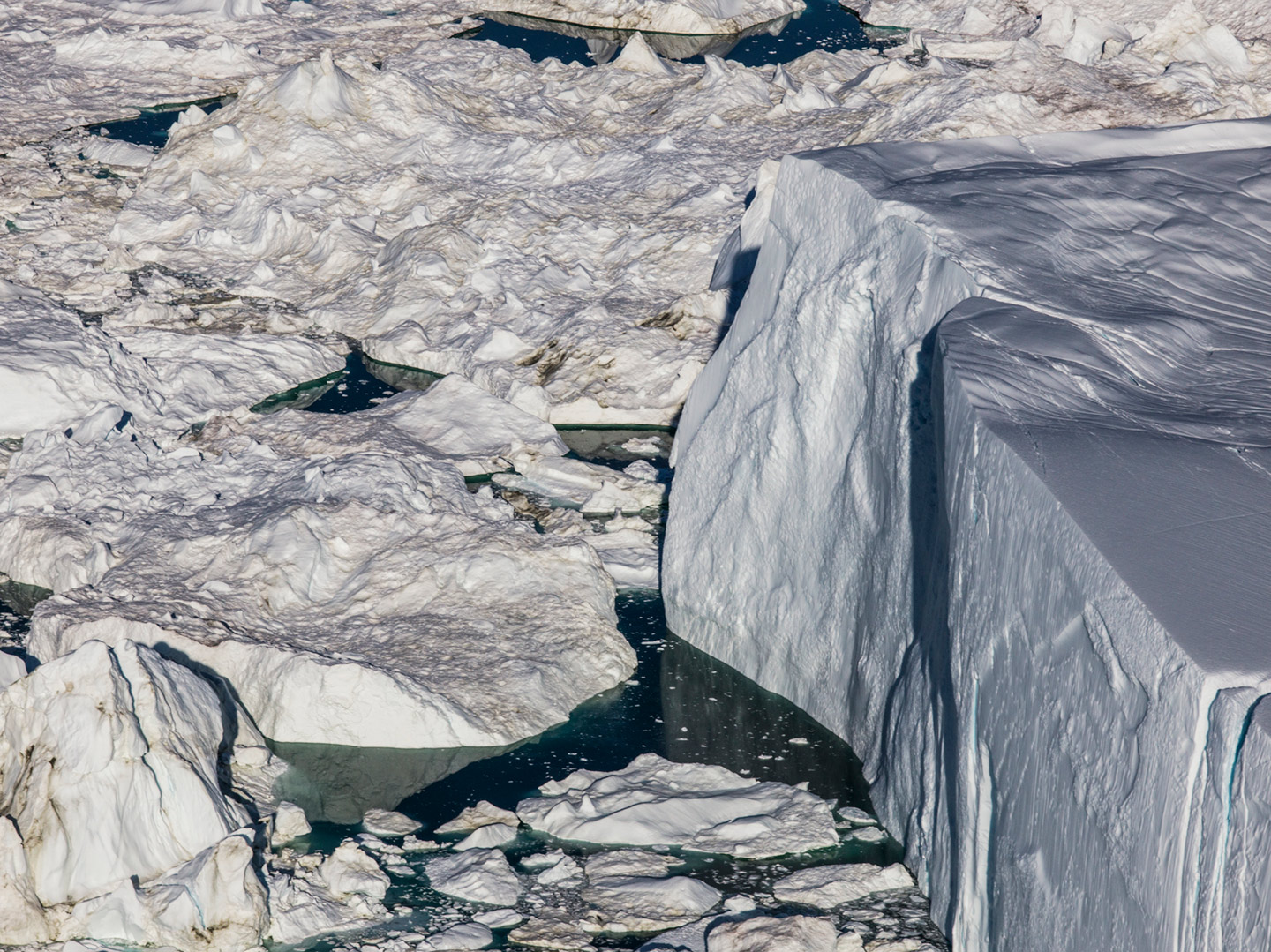 The Arctic Melt Diane Tuft