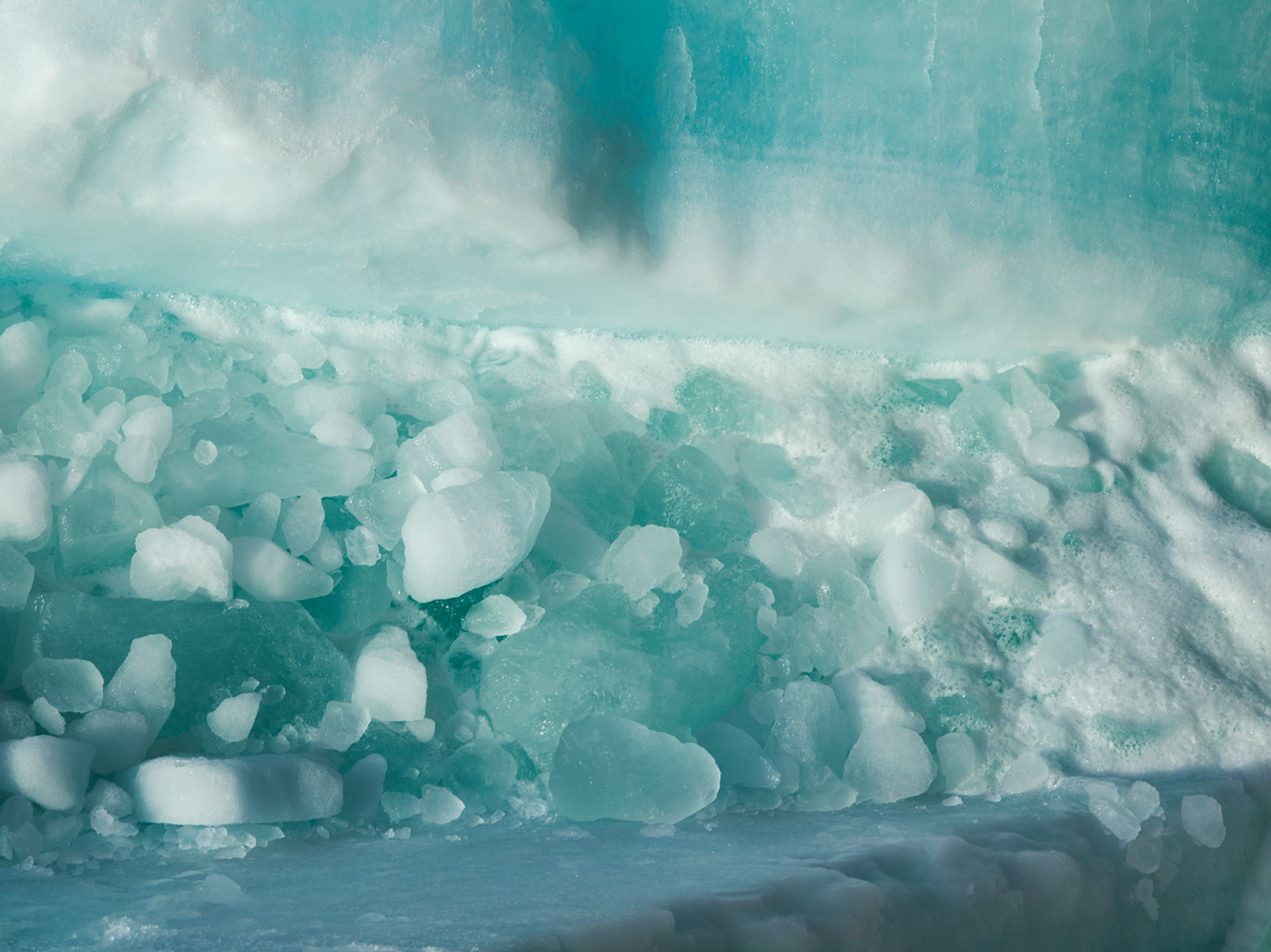 The Arctic Melt Diane Tuft