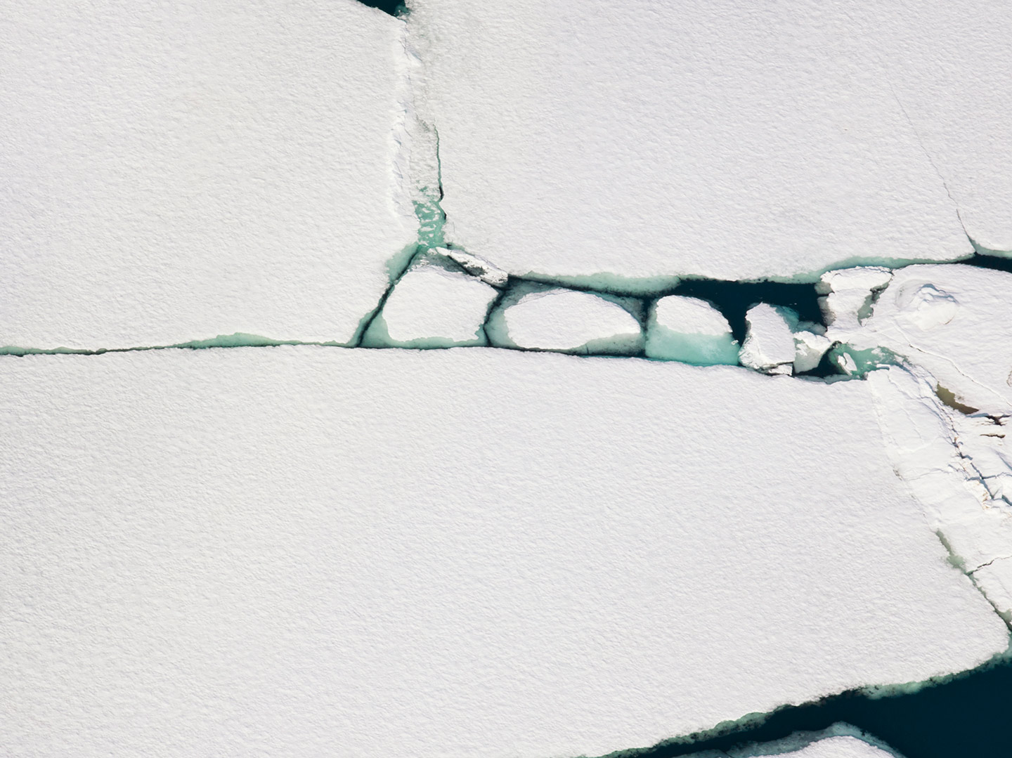 The Arctic Melt Diane Tuft
