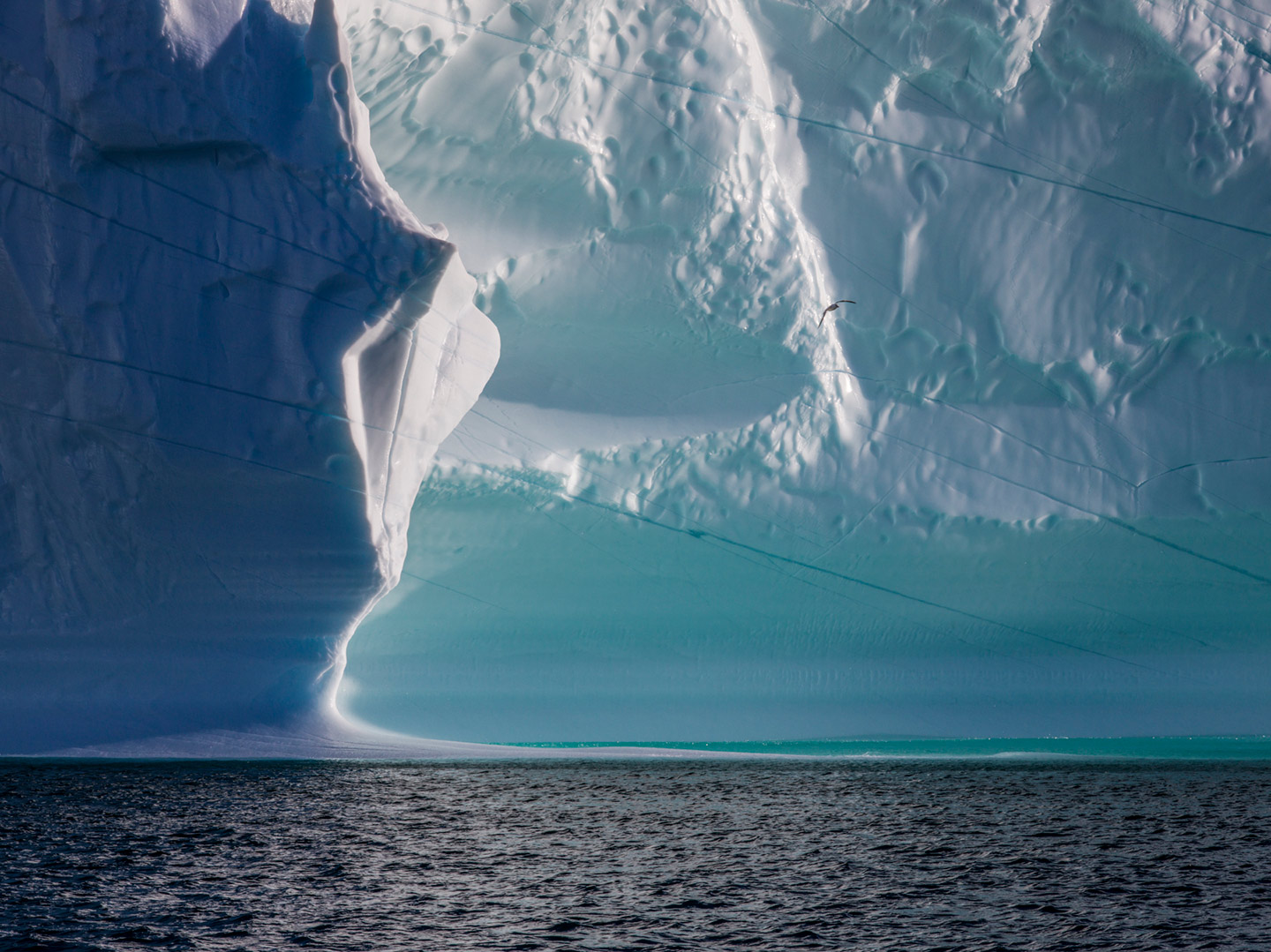 The Arctic Melt Diane Tuft