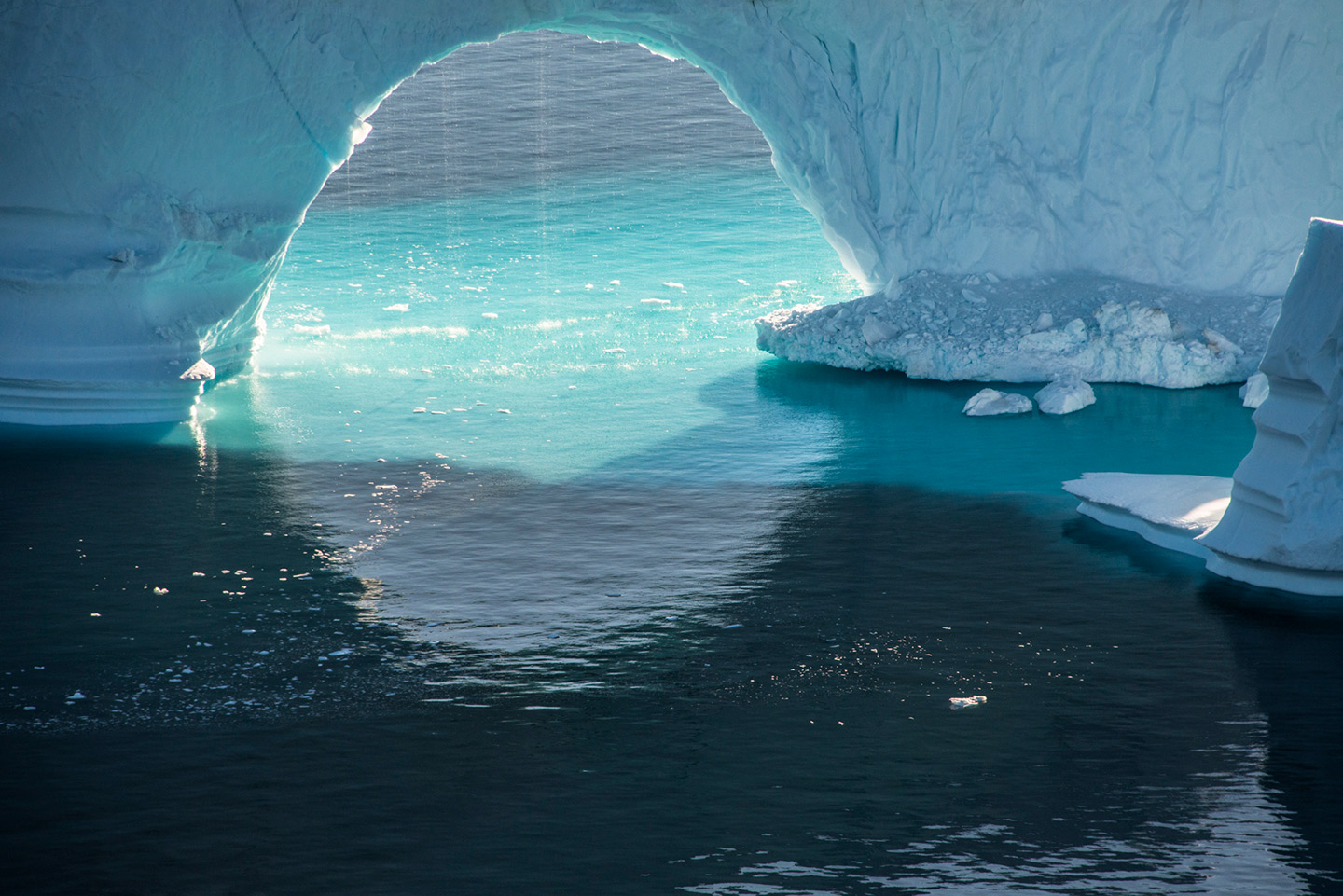 The Arctic Melt Diane Tuft