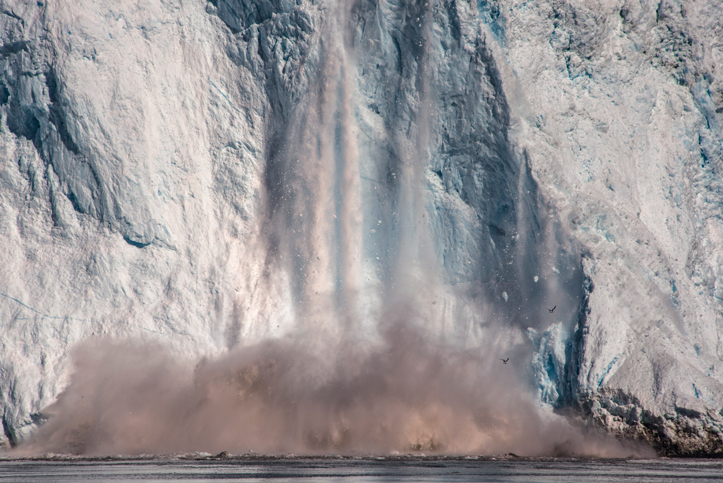 The Arctic Melt Diane Tuft