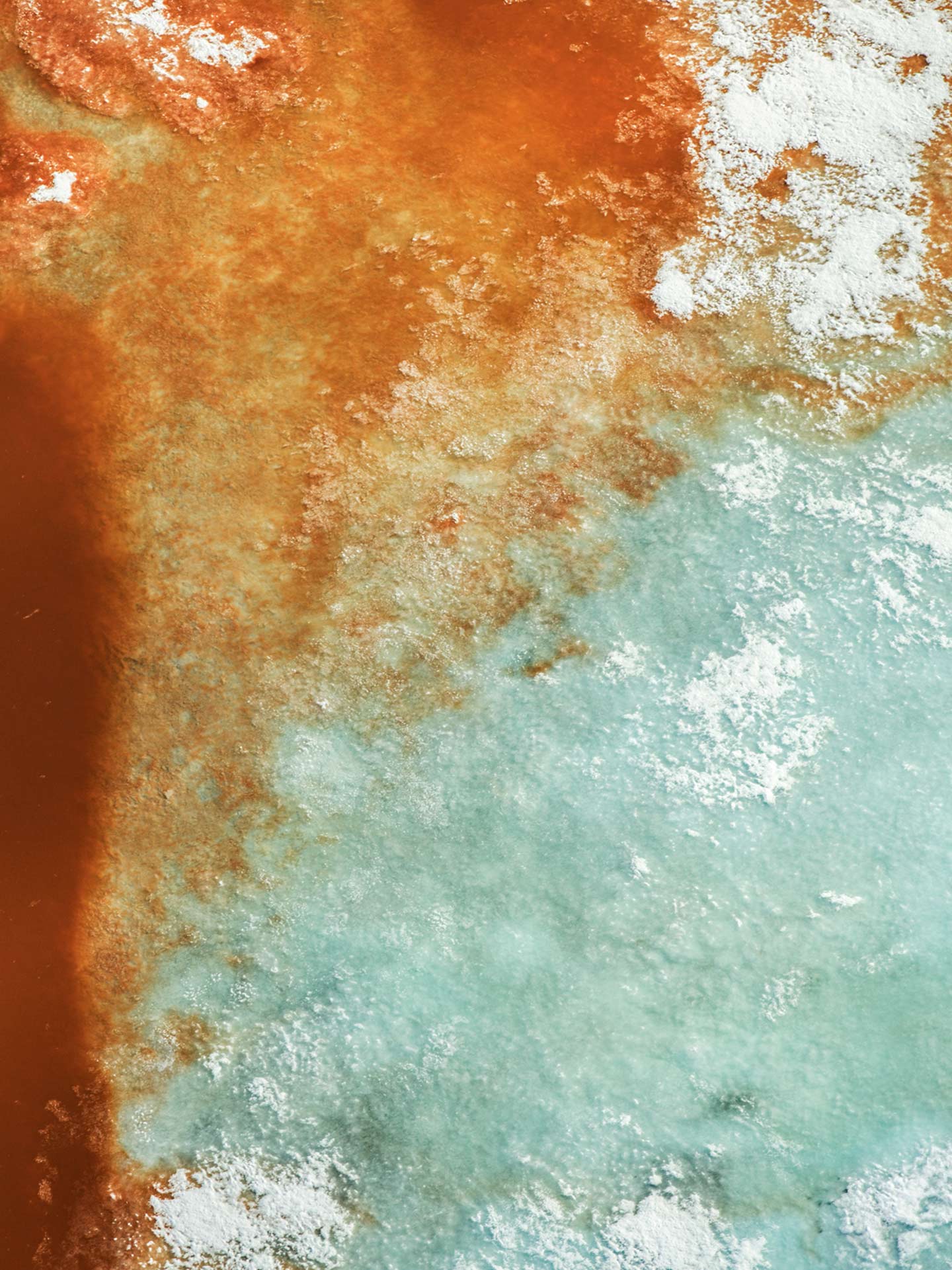The Arctic Melt Diane Tuft