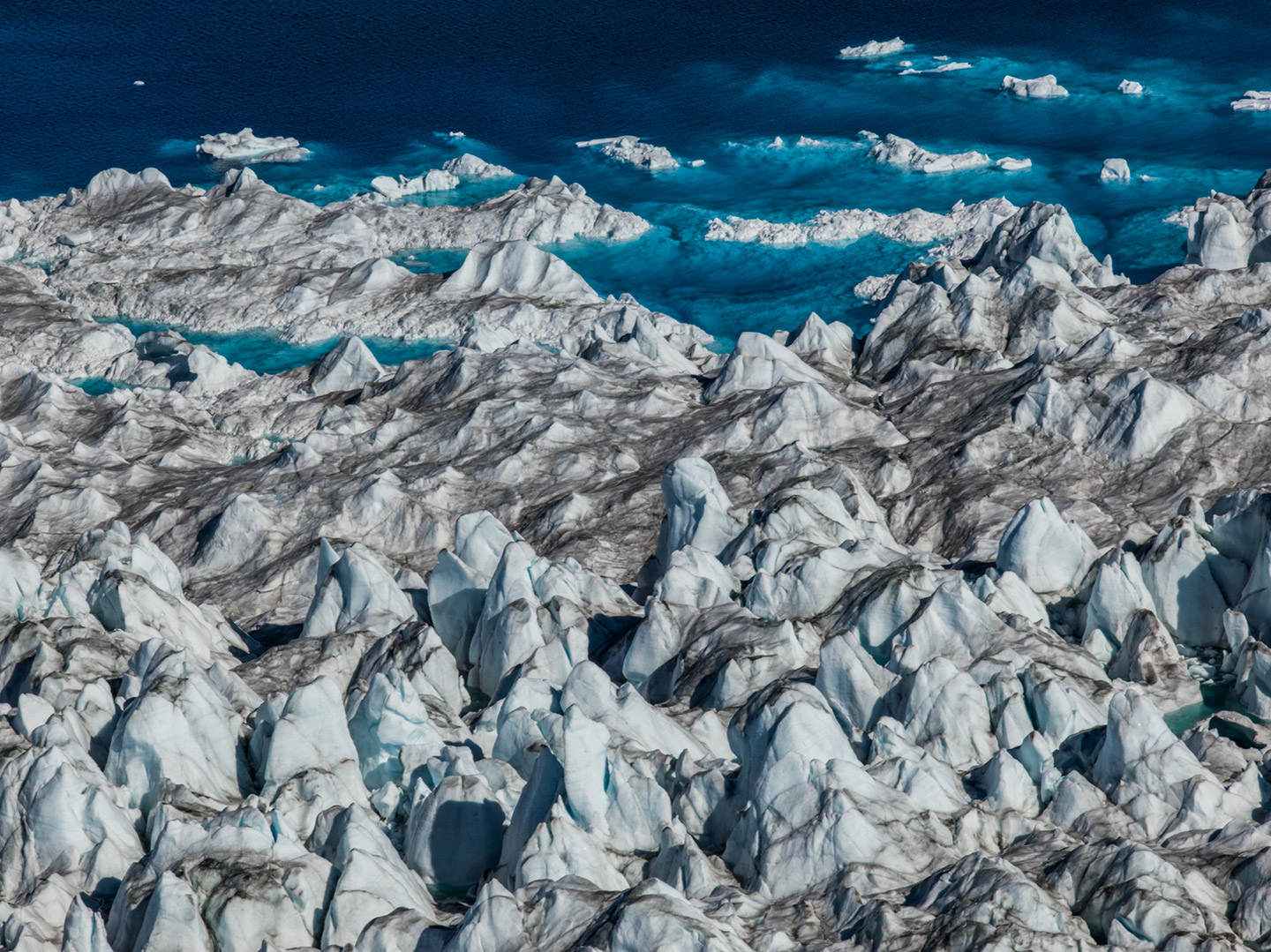 The Arctic Melt Diane Tuft