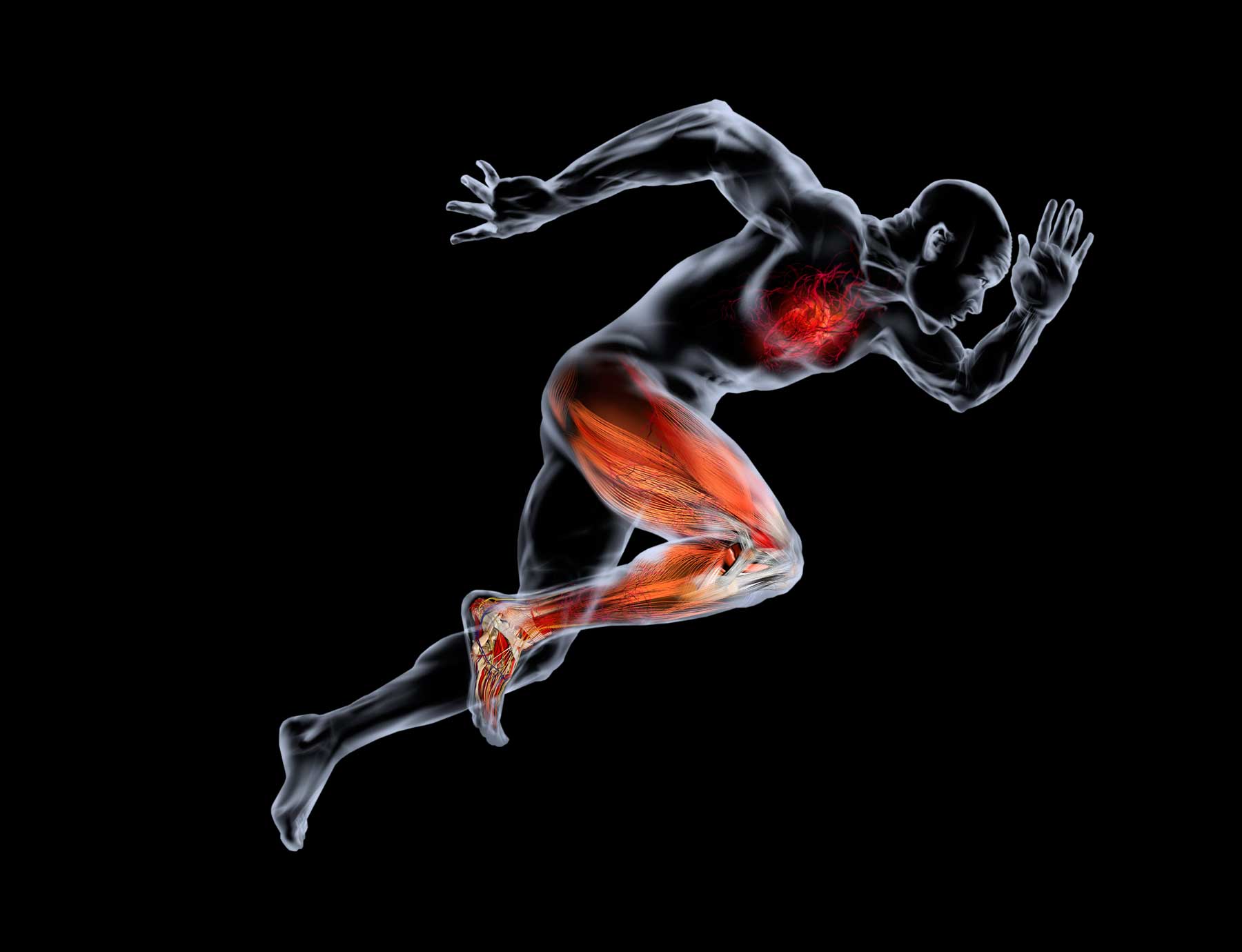 muscle hacking