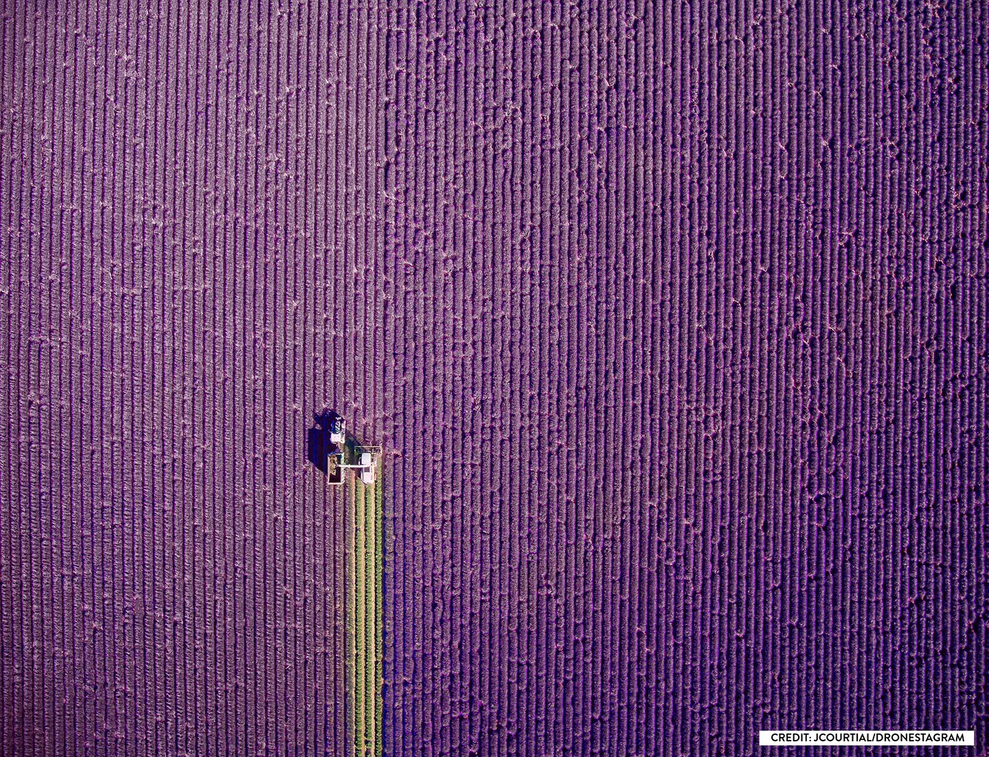 International Drone Photography Contest