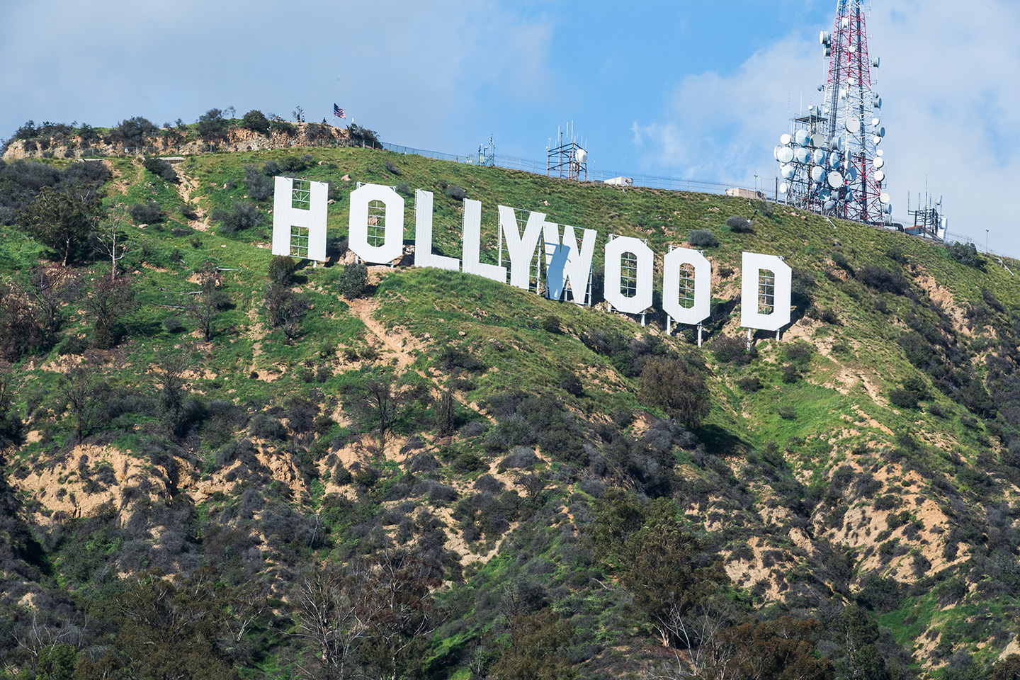 hollywood