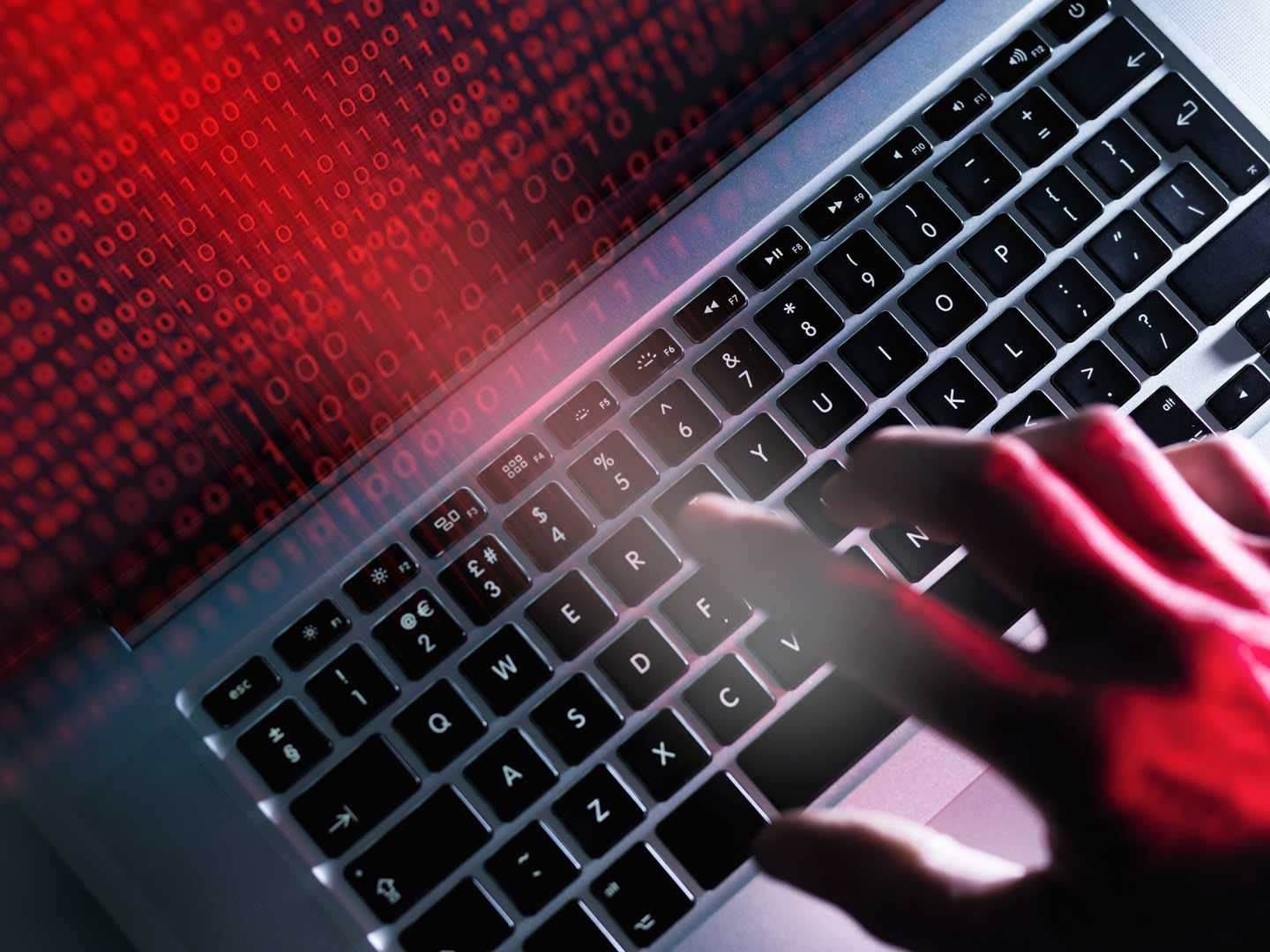 Government Privacy Tech Companies