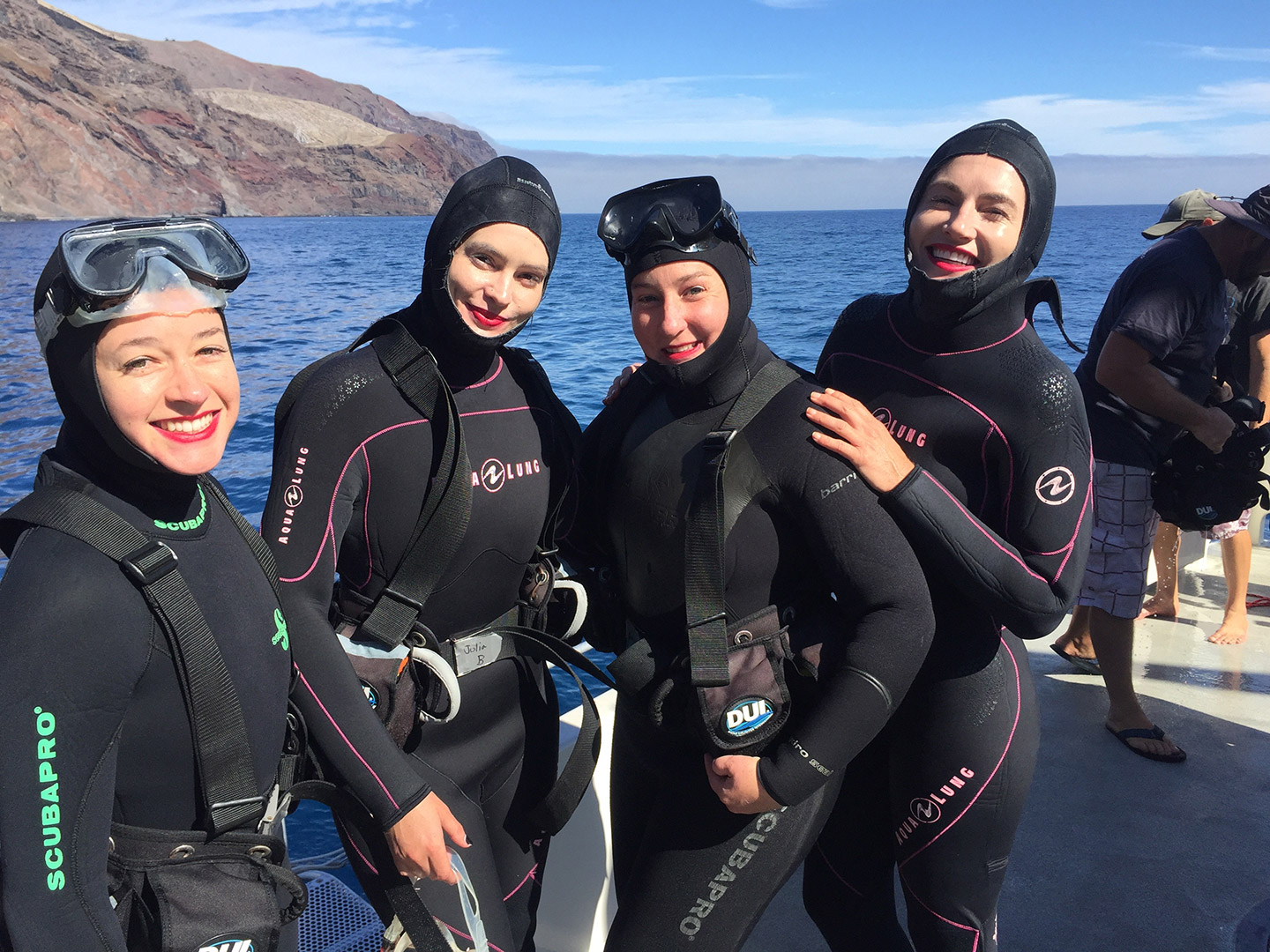 Swimming with Great White Sharks