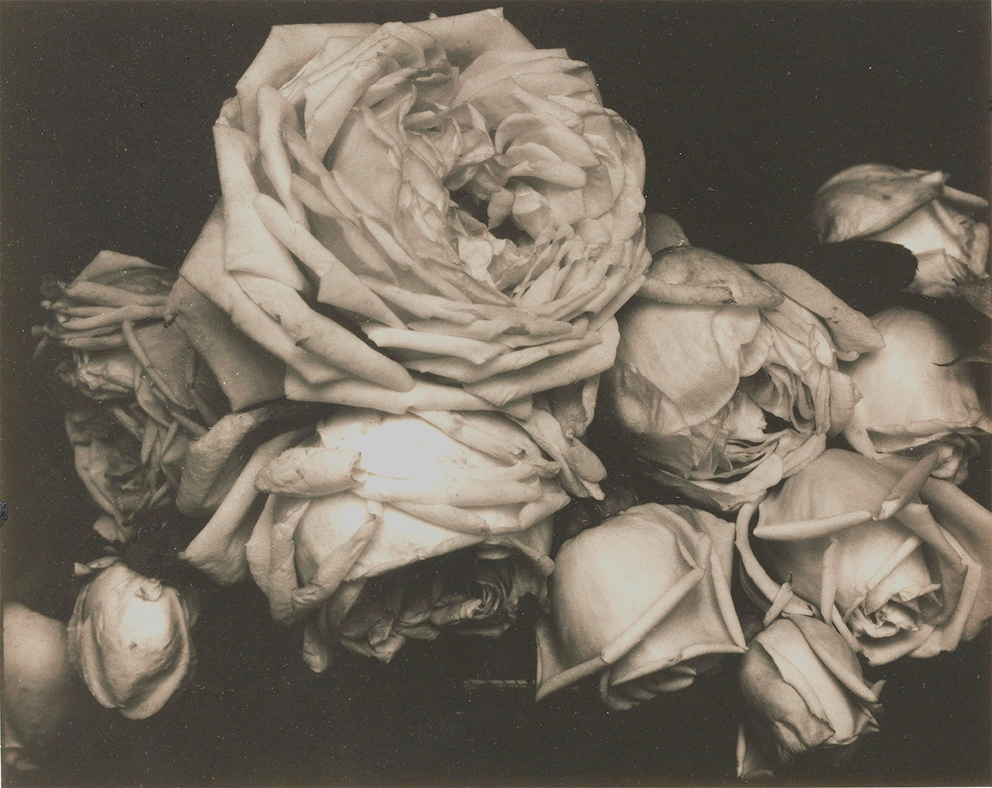 MOMA Auction