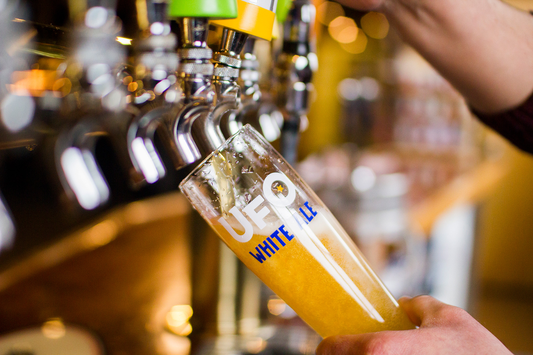 Food and Beer Pairing with Harpoon Brewmaster Al Marzi