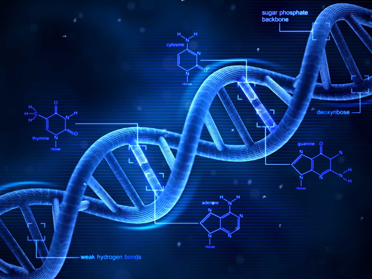 Computer Hacked Using DNA for the First Time Ever