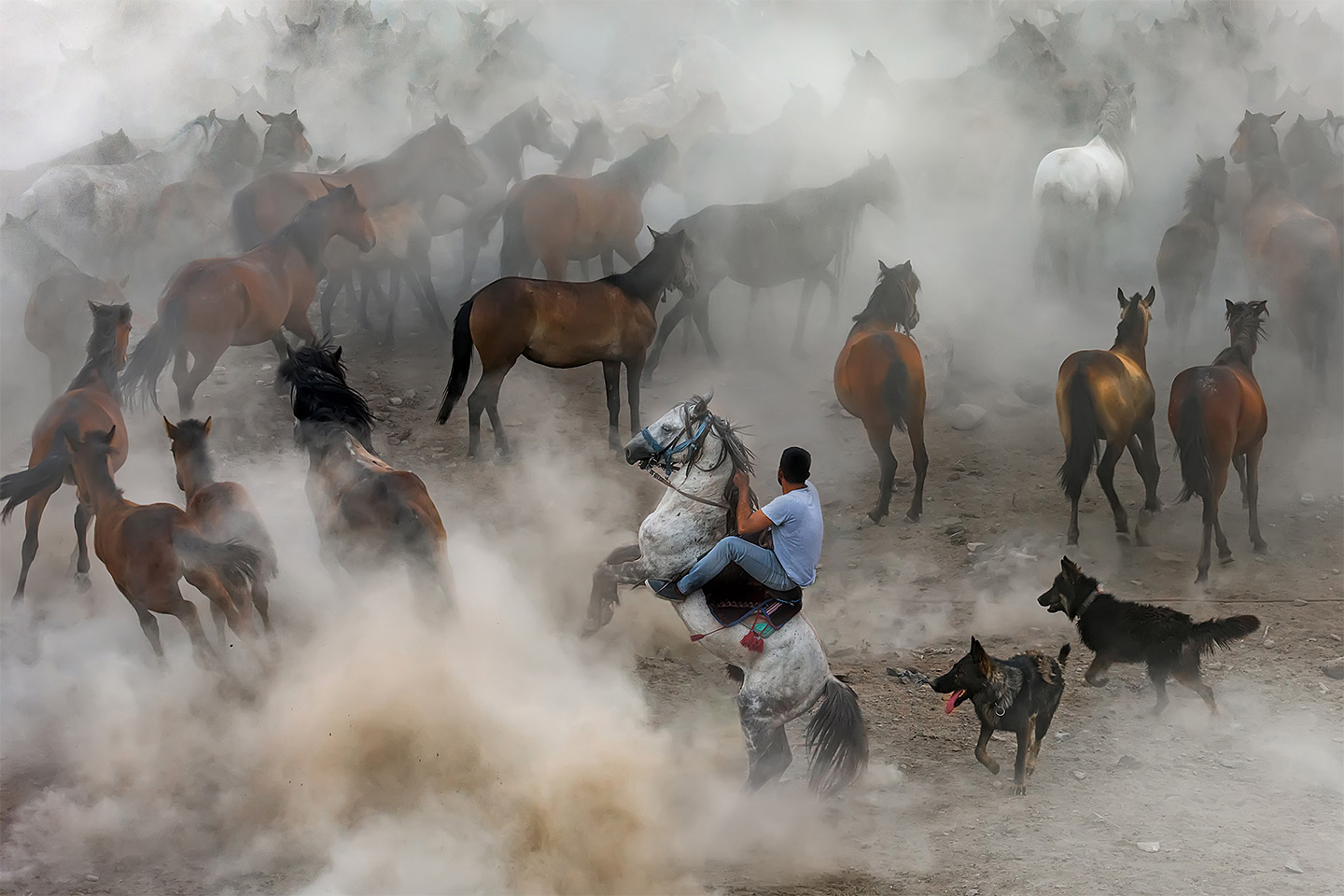 Sony World Photography Awards Open Entries