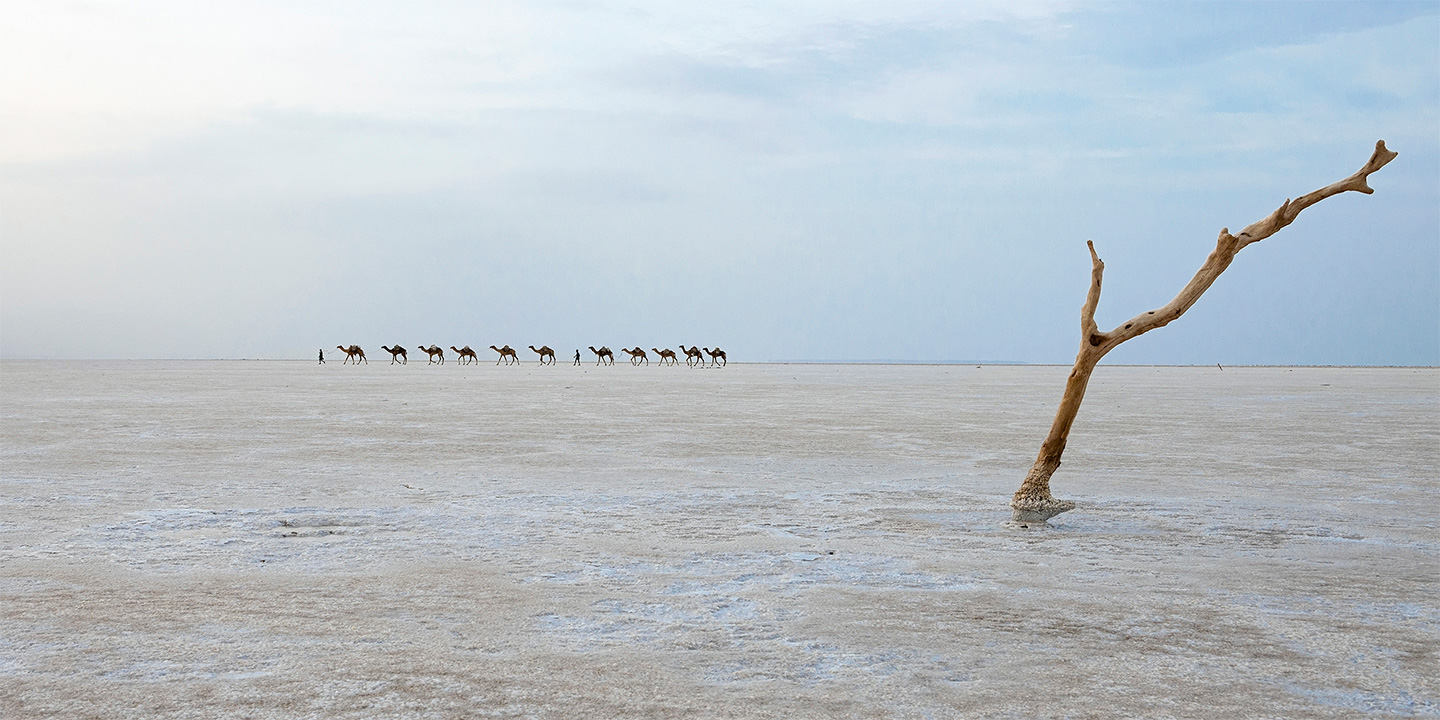 Sony World Photography Awards Open Entries