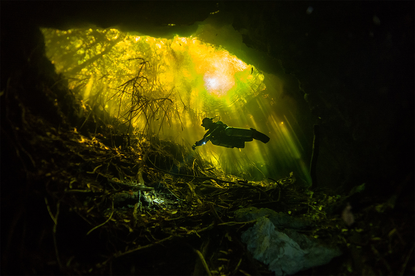 Sony World Photography Awards Open Entries
