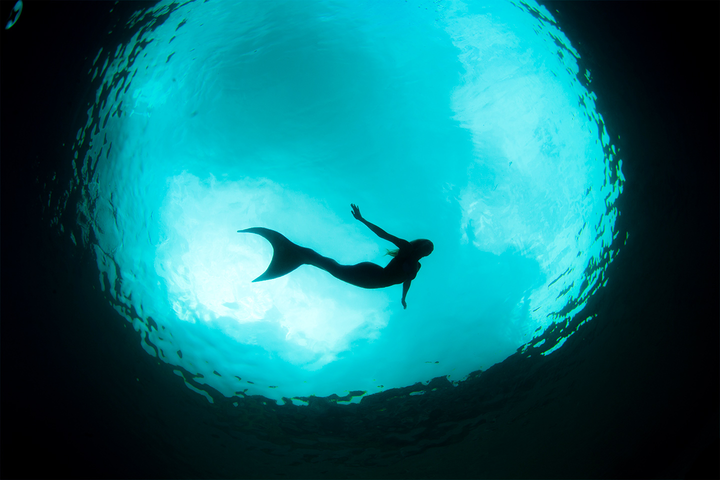 Mermaid Linden