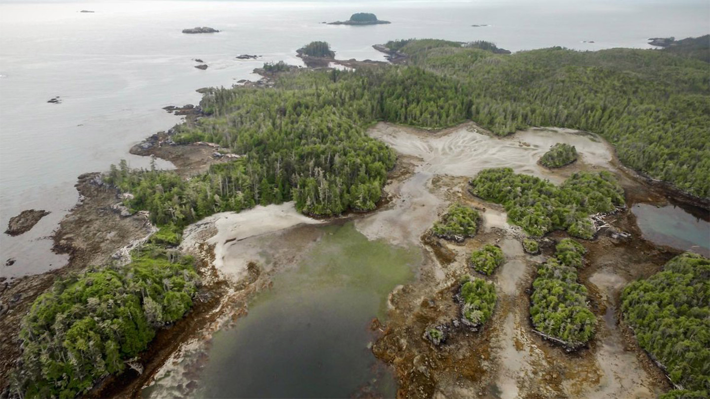 Triquet Island