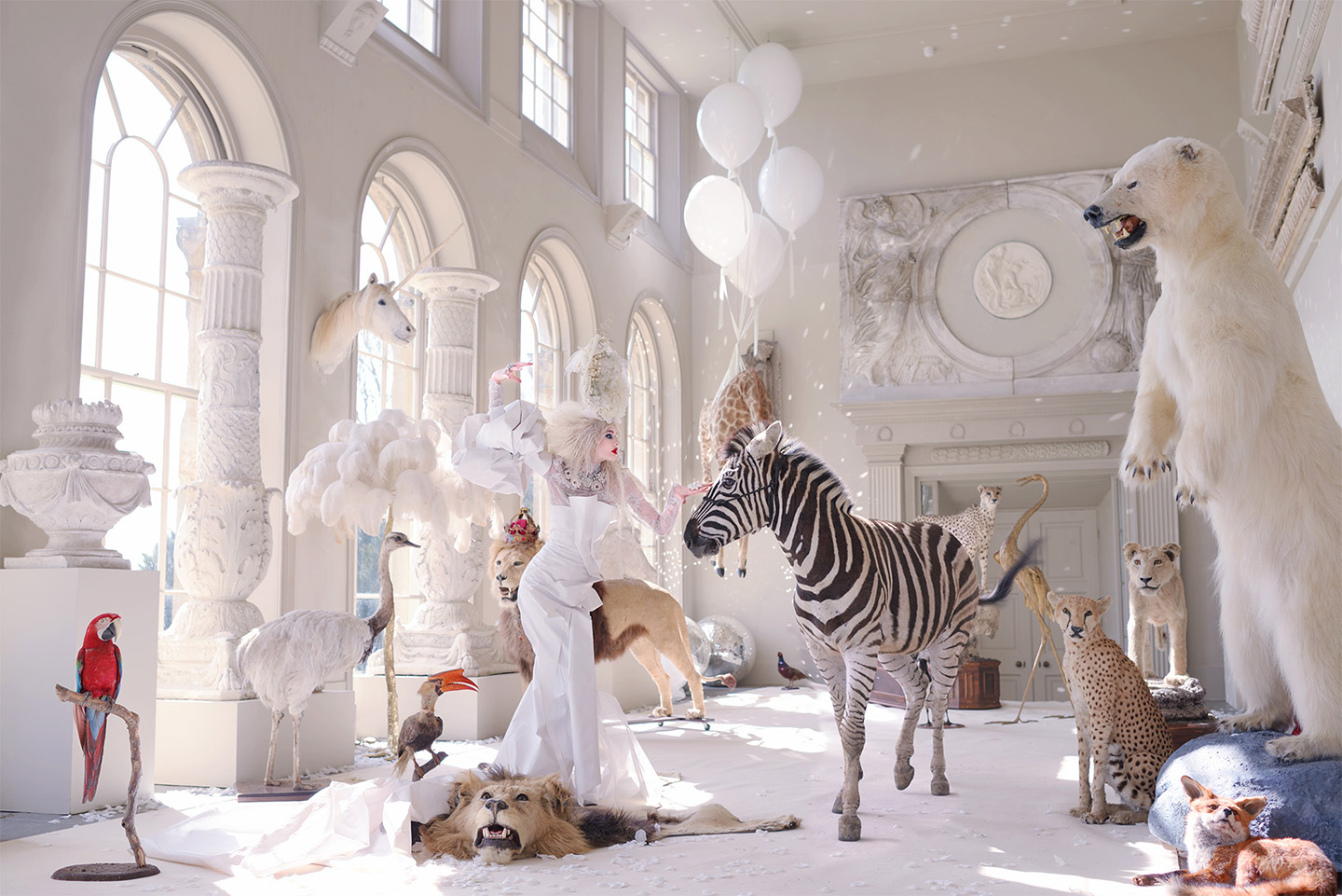 Surreal Fashion