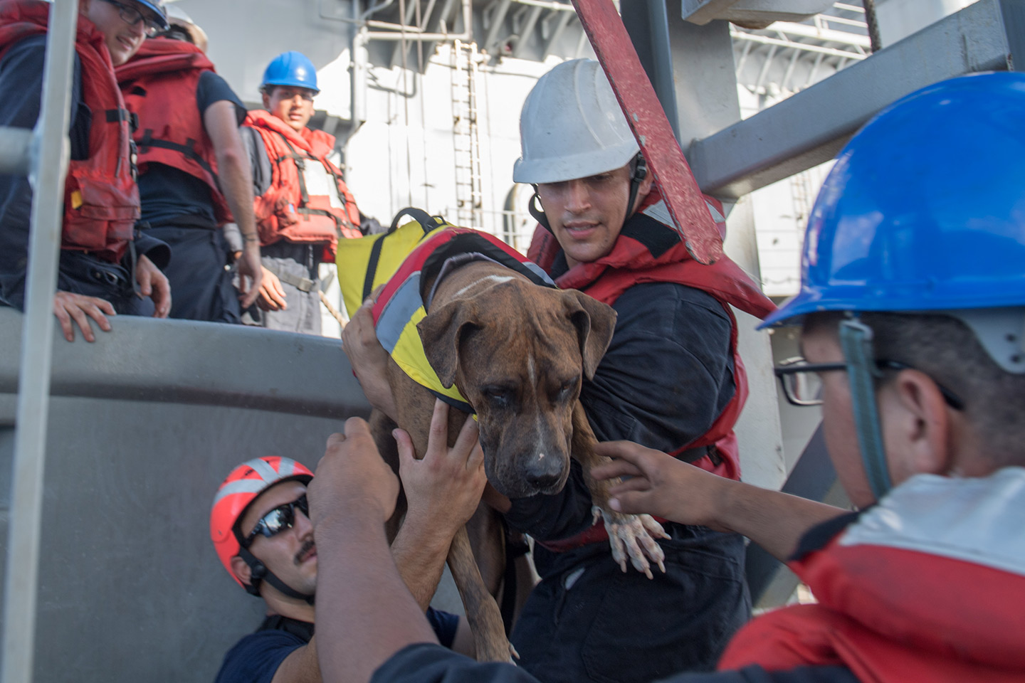 Navy rescue