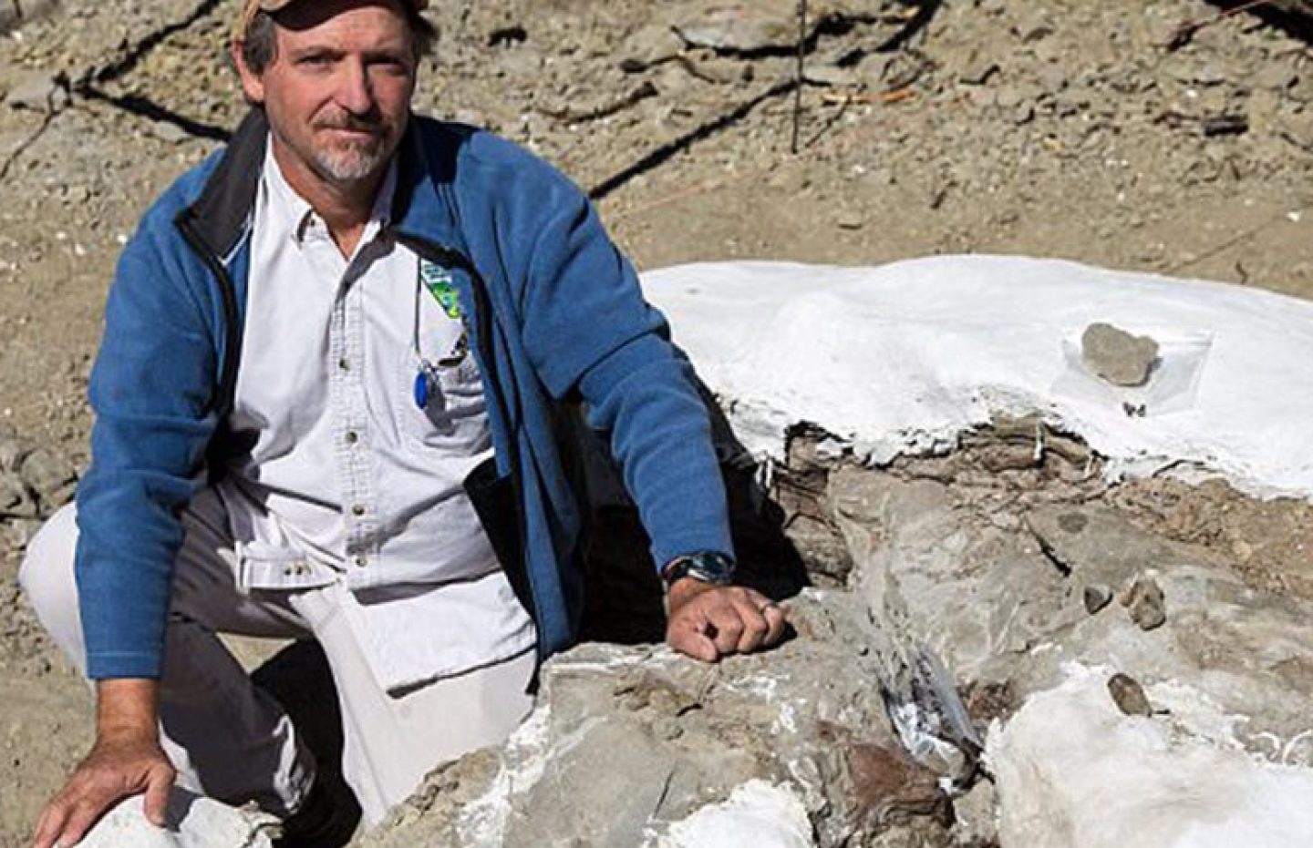 complete tyrannosaur fossil