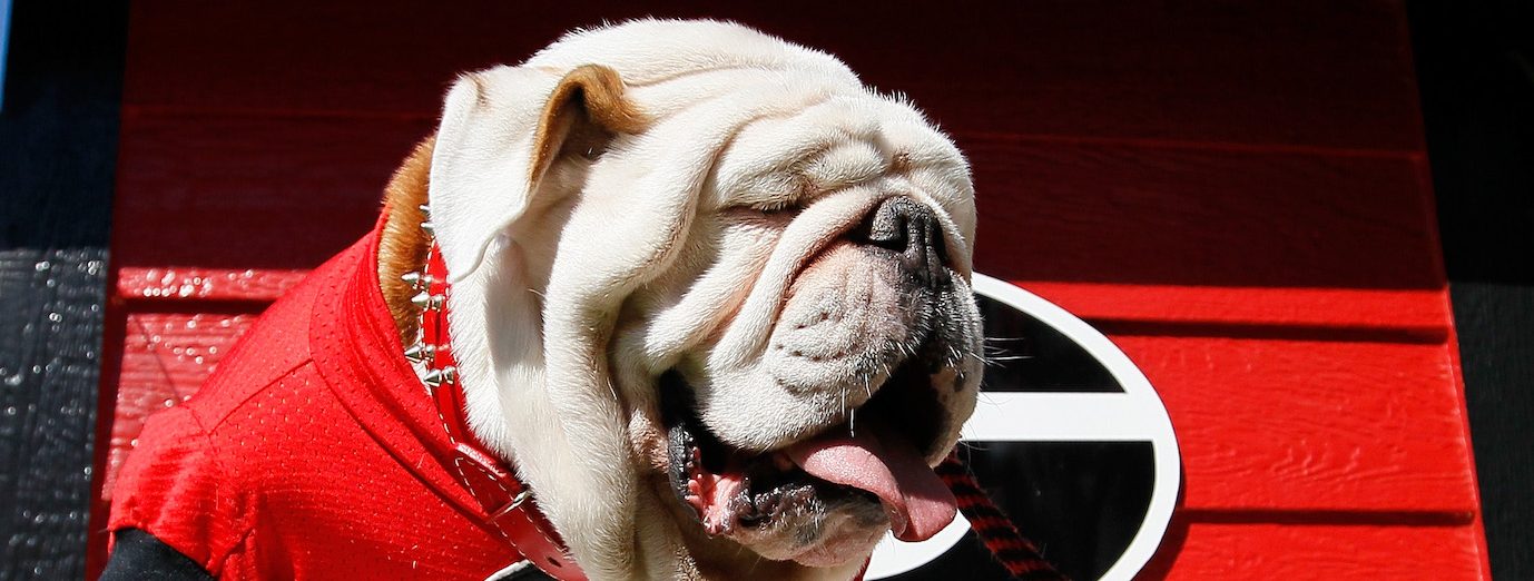 Georgia Bulldogs