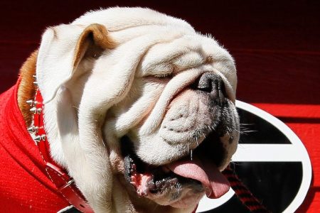 Georgia Bulldogs