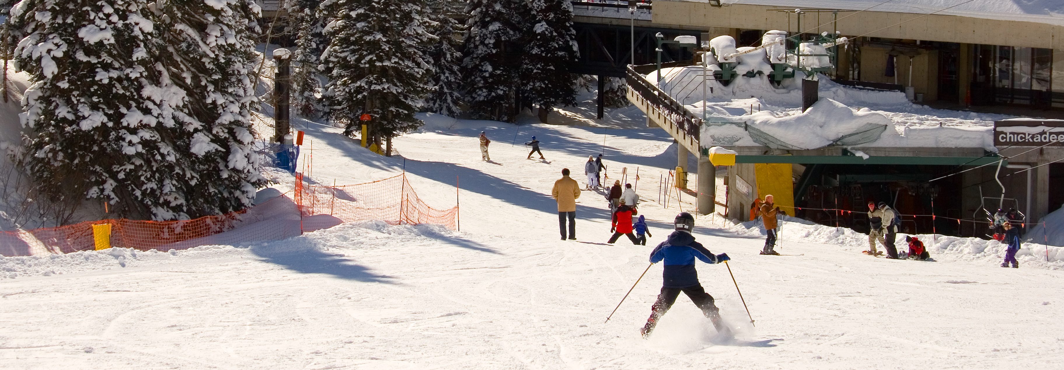Snowbird Ski Resort