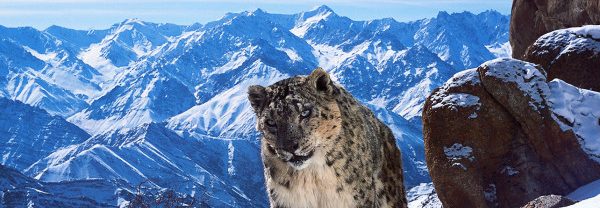 Planet Earth II