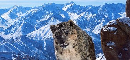 Planet Earth II