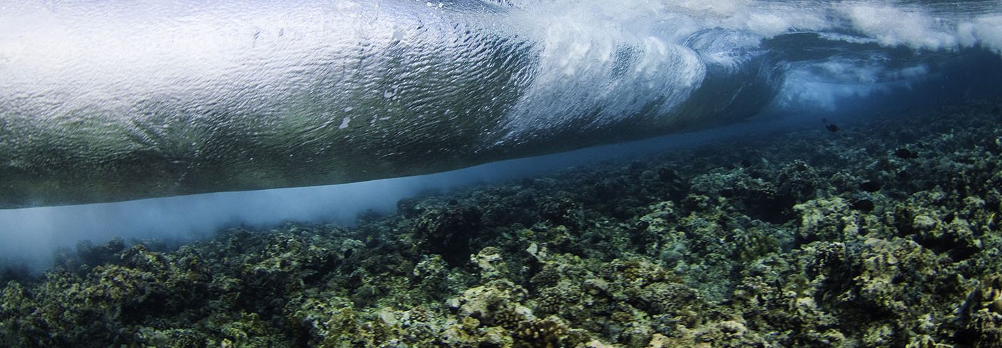 Tubbataha Reef