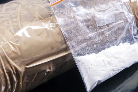 Who Killed the Nazi Botanist That Was Working On Wiping Out Cocaine?