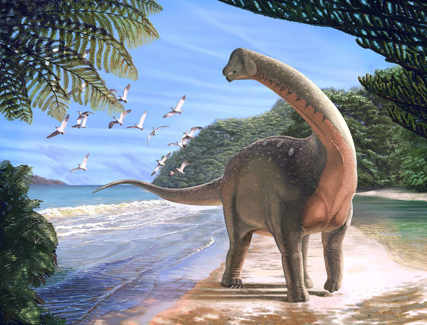 dinosaur