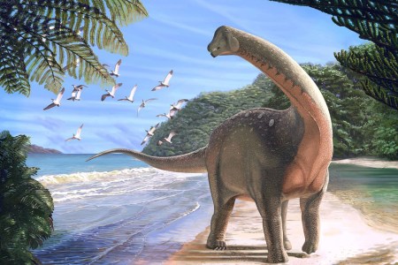 dinosaur