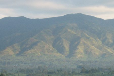 Rwenzori range