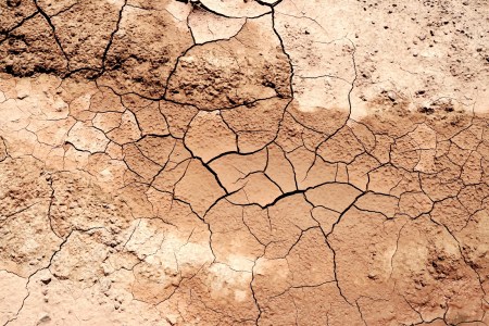 antibiotics found in dirt
