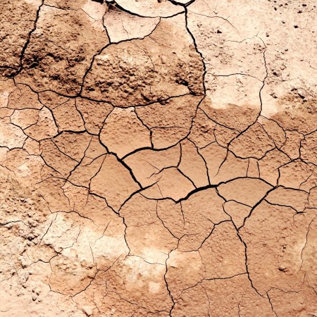 antibiotics found in dirt