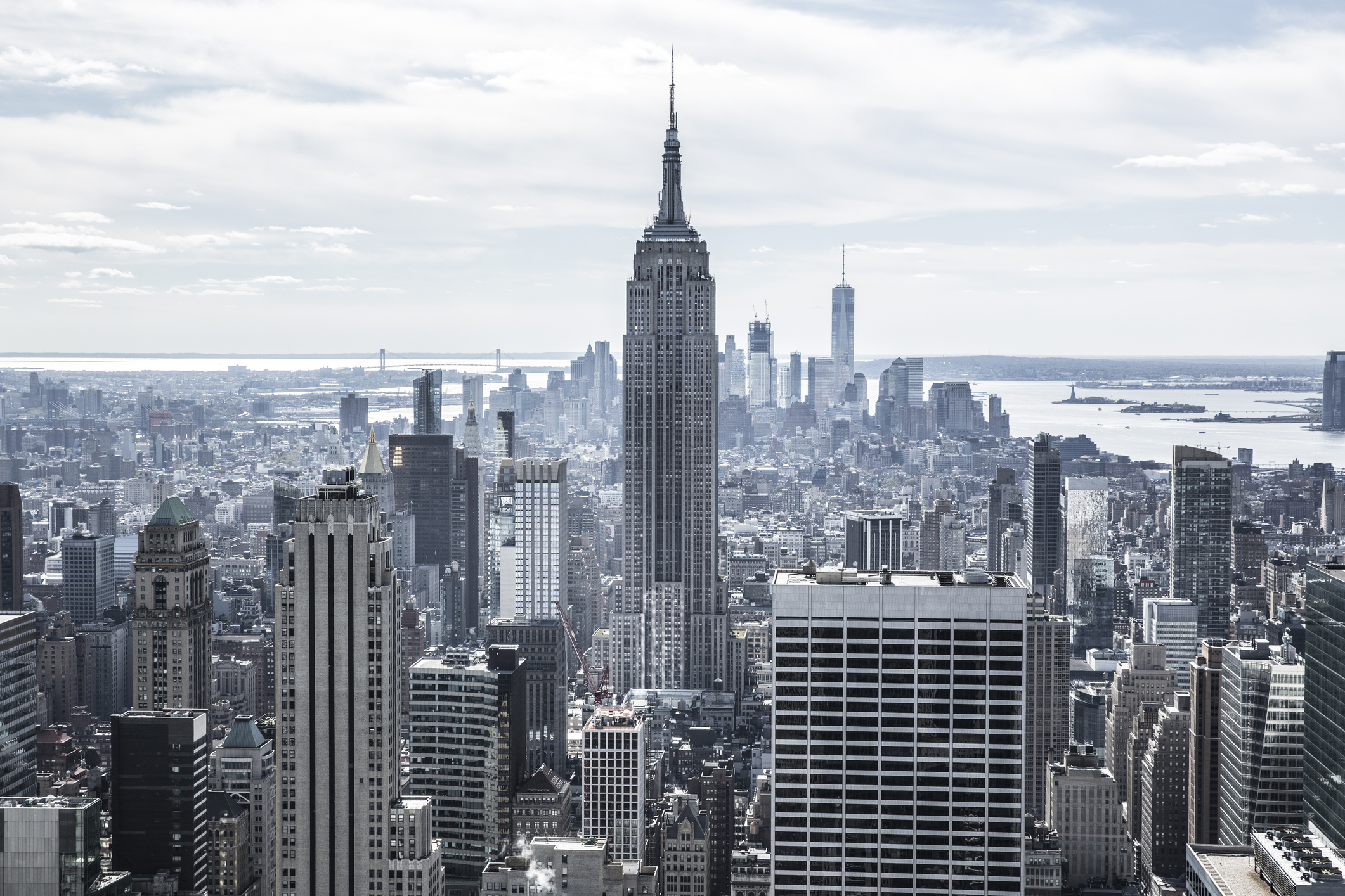 gothamist