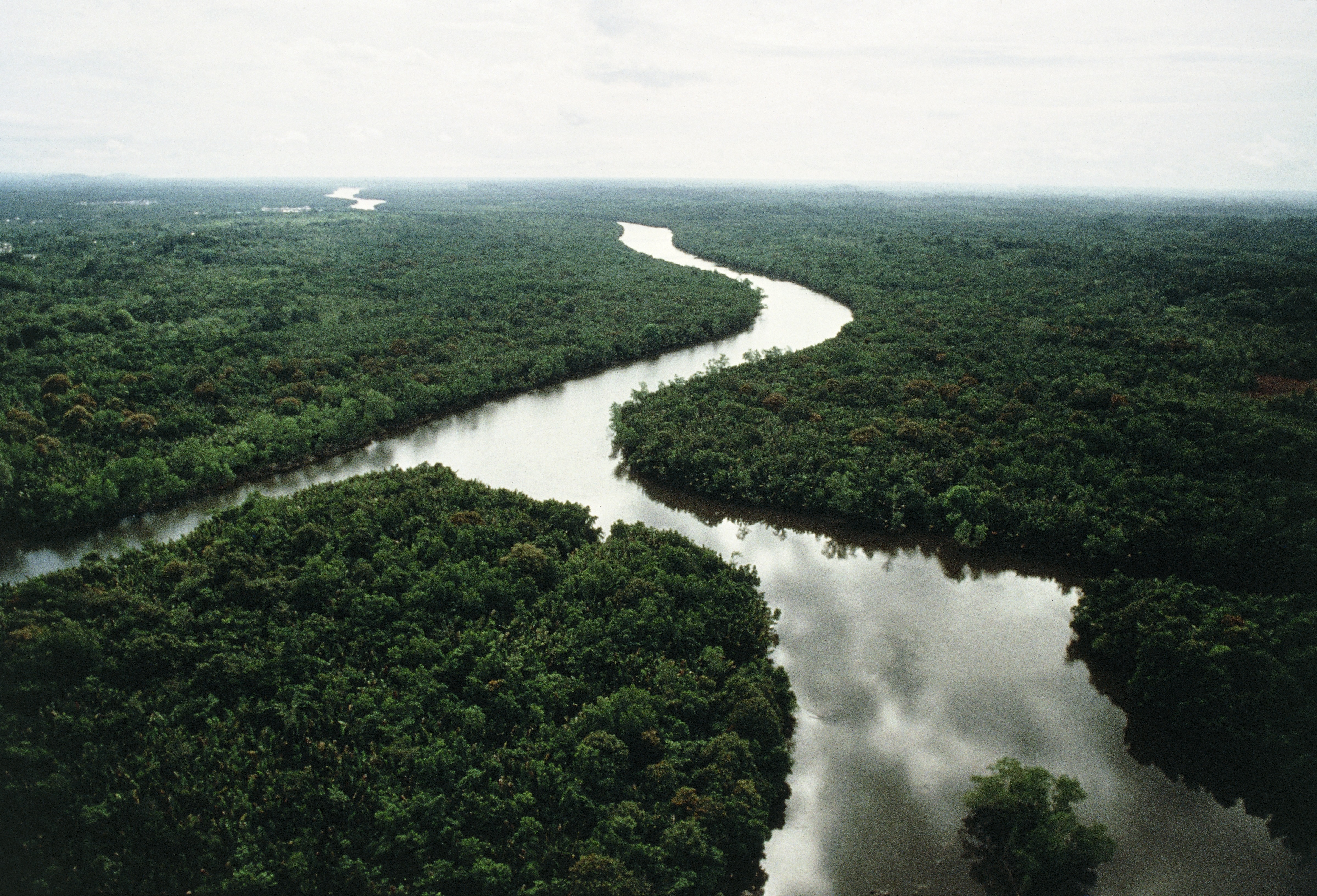 Borneo